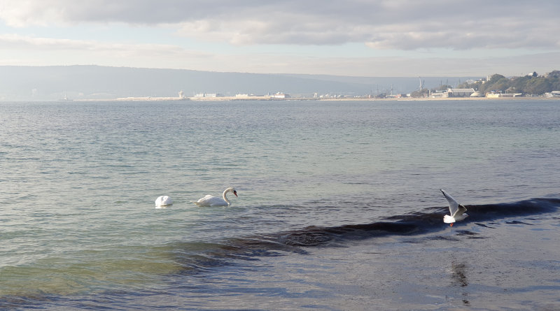 Бъдеще за Черно море